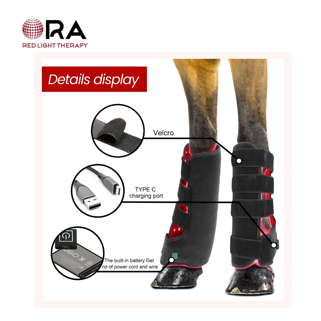 ORA for Horses Legs - Image 2
