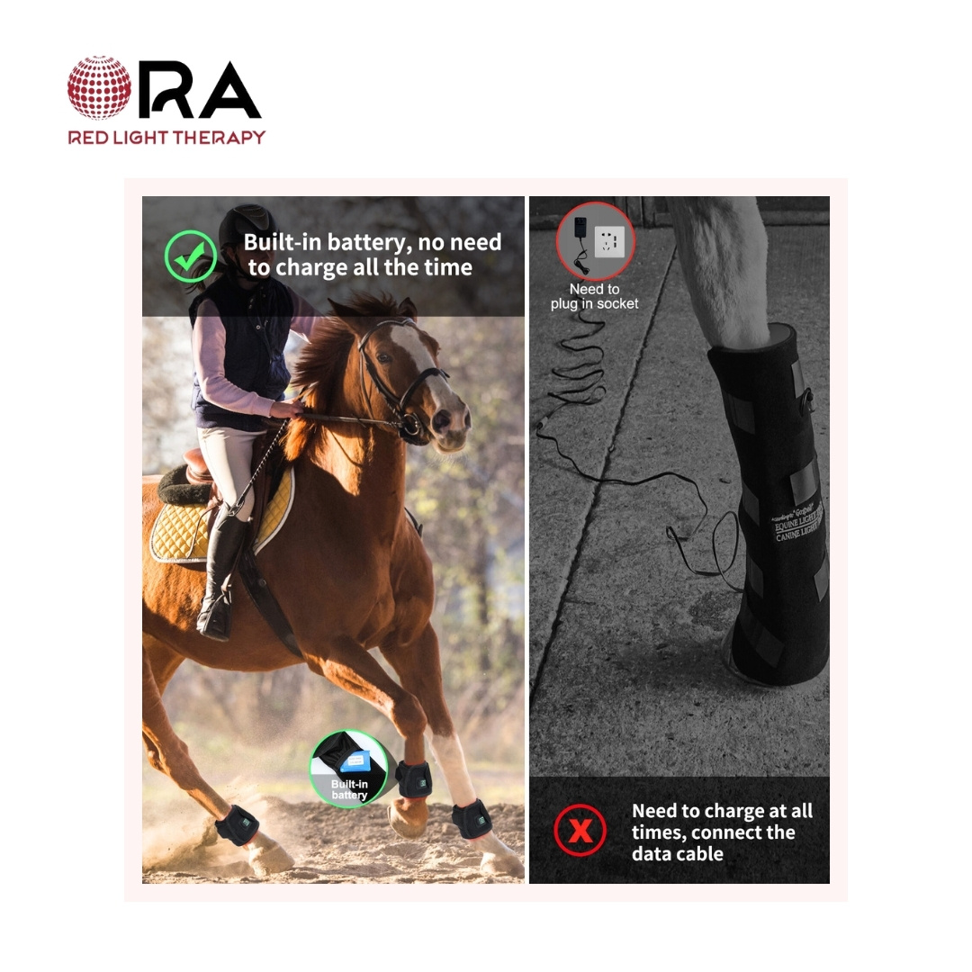 SG-WP-FT ORA for HORSES HOOF 04